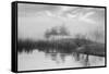 Coastal Oak Series No. 43-Alan Blaustein-Framed Stretched Canvas