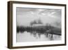 Coastal Oak Series No. 43-Alan Blaustein-Framed Photographic Print