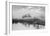 Coastal Oak Series No. 43-Alan Blaustein-Framed Photographic Print