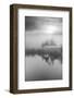 Coastal Oak Series No. 44-Alan Blaustein-Framed Photographic Print