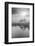 Coastal Oak Series No. 44-Alan Blaustein-Framed Photographic Print