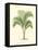 Coastal Palm I-null-Framed Stretched Canvas