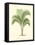 Coastal Palm I-null-Framed Stretched Canvas