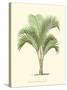 Coastal Palm I-null-Stretched Canvas