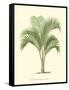 Coastal Palm I-null-Framed Stretched Canvas