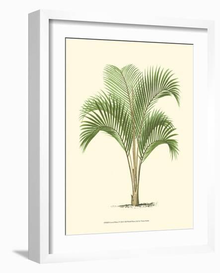 Coastal Palm I-null-Framed Art Print