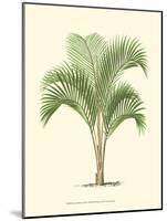 Coastal Palm I-null-Mounted Art Print