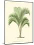 Coastal Palm I-null-Mounted Art Print