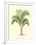 Coastal Palm I-null-Framed Art Print