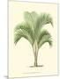 Coastal Palm I-null-Mounted Art Print