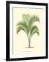 Coastal Palm I-null-Framed Art Print