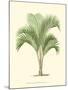 Coastal Palm I-null-Mounted Art Print