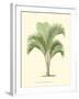 Coastal Palm I-null-Framed Art Print