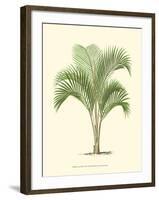 Coastal Palm I-null-Framed Art Print