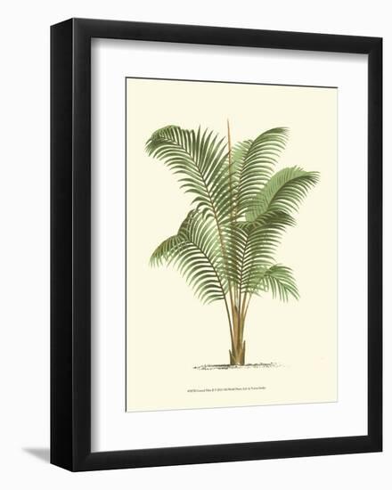 Coastal Palm II-null-Framed Art Print