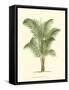 Coastal Palm II-null-Framed Stretched Canvas
