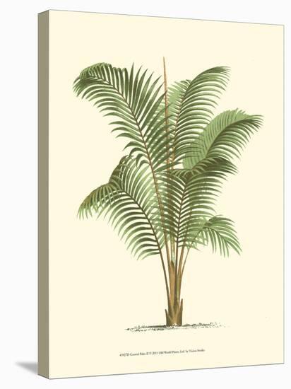 Coastal Palm II-null-Stretched Canvas