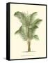 Coastal Palm II-null-Framed Stretched Canvas