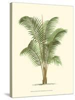 Coastal Palm II-null-Stretched Canvas