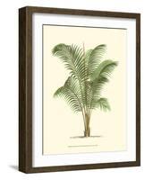 Coastal Palm II-null-Framed Art Print