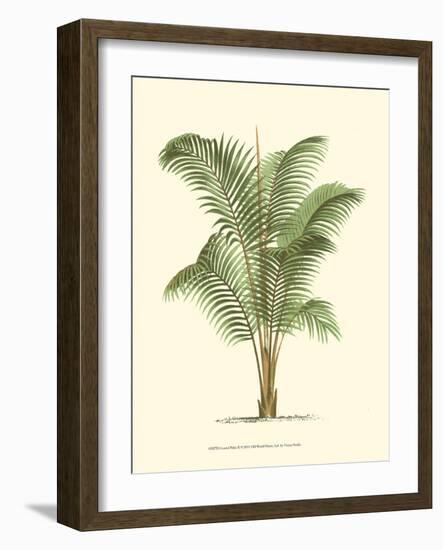 Coastal Palm II-null-Framed Art Print