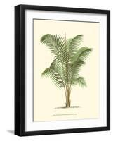 Coastal Palm II-null-Framed Art Print