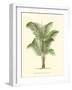 Coastal Palm II-null-Framed Art Print