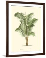 Coastal Palm II-null-Framed Art Print