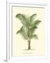 Coastal Palm II-null-Framed Art Print