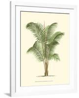 Coastal Palm II-null-Framed Art Print