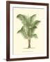 Coastal Palm II-null-Framed Art Print