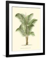 Coastal Palm II-null-Framed Art Print