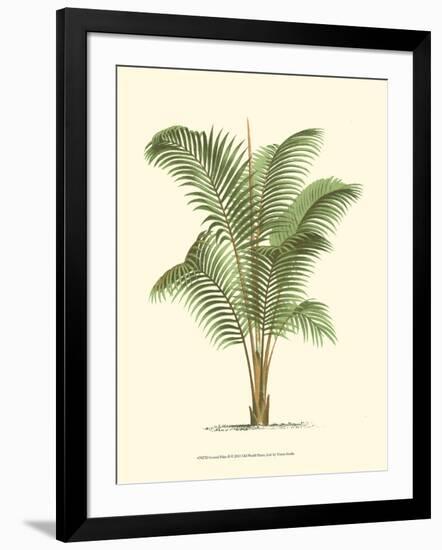 Coastal Palm II-null-Framed Art Print