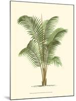 Coastal Palm II-null-Mounted Art Print