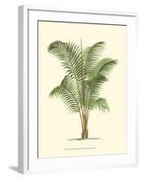 Coastal Palm II-null-Framed Art Print