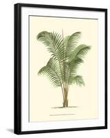 Coastal Palm II-null-Framed Art Print