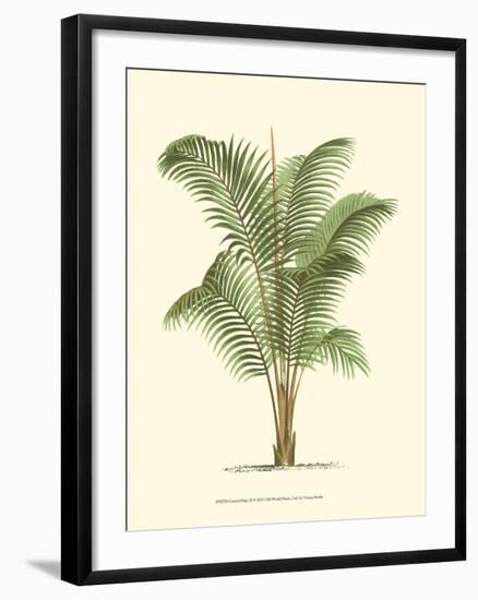 Coastal Palm II-null-Framed Art Print