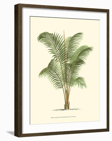 Coastal Palm II-null-Framed Art Print