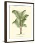 Coastal Palm II-null-Framed Art Print