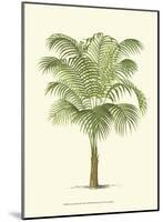 Coastal Palm III-null-Mounted Art Print