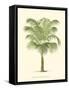 Coastal Palm III-null-Framed Stretched Canvas