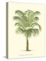 Coastal Palm III-null-Stretched Canvas