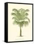 Coastal Palm III-null-Framed Stretched Canvas