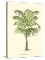 Coastal Palm III-null-Stretched Canvas