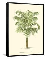 Coastal Palm III-null-Framed Stretched Canvas