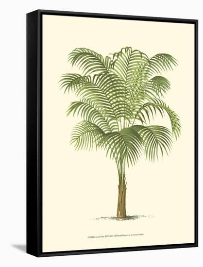 Coastal Palm III-null-Framed Stretched Canvas