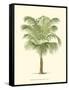 Coastal Palm III-null-Framed Stretched Canvas