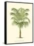 Coastal Palm III-null-Framed Stretched Canvas