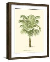 Coastal Palm III-null-Framed Art Print