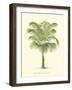 Coastal Palm III-null-Framed Art Print